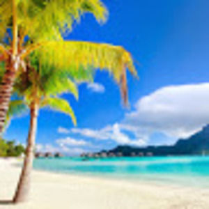 Meet your Posher, Liani